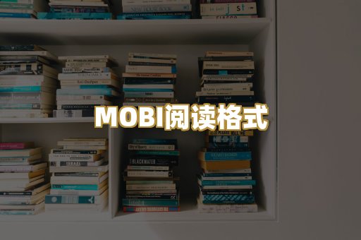 MOBI阅读格式